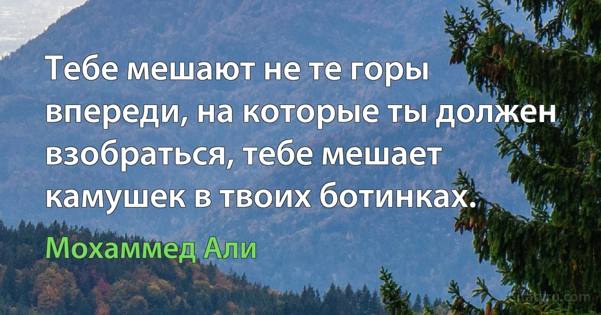 Тебе мешают не те горы впереди, на которые ты должен взобраться, тебе мешает камушек в твоих ботинках. (Мохаммед Али)