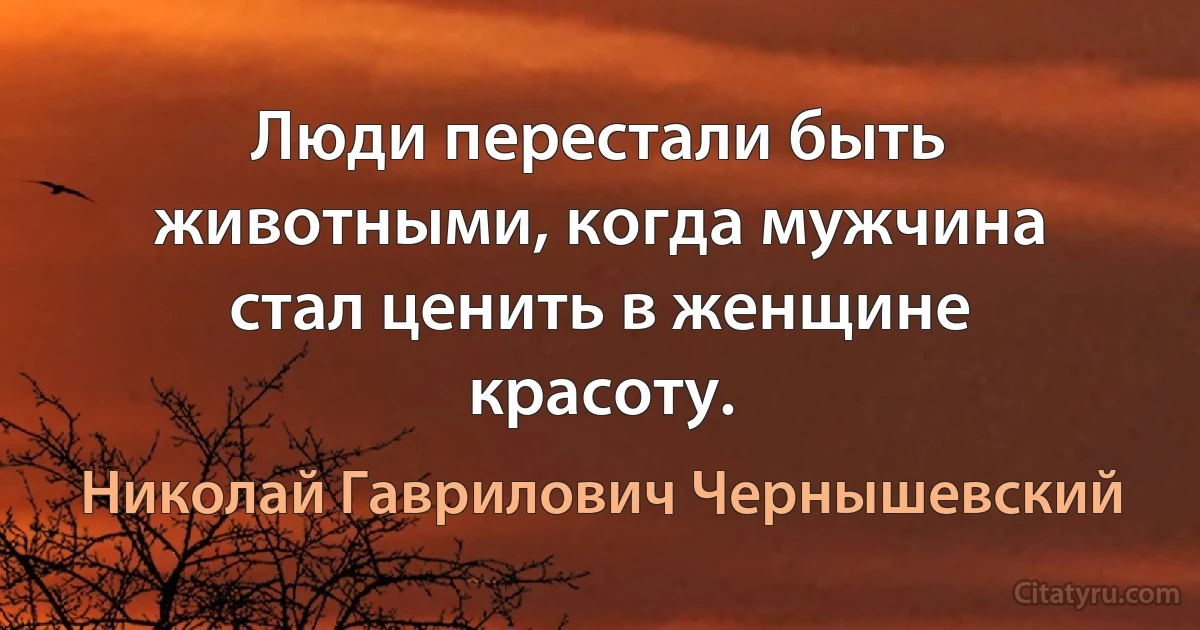 Люди перестали быть животными, когда мужчина стал ценить в женщине красоту. (Николай Гаврилович Чернышевский)