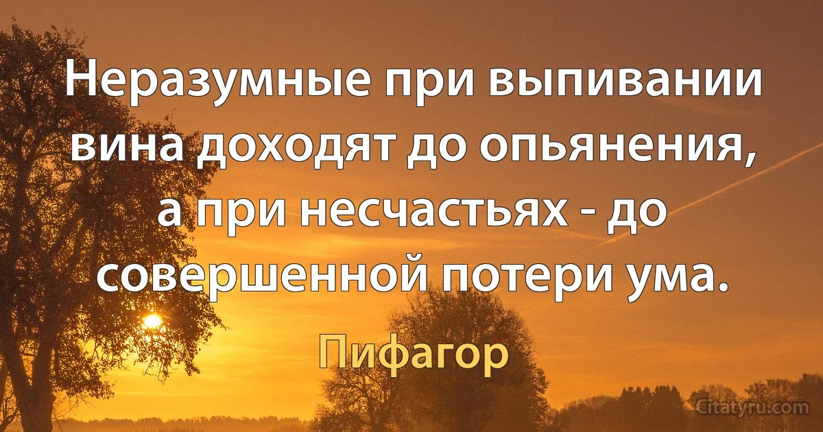 Неразумные при выпивании вина доходят до опьянения, а при несчастьях - до совершенной потери ума. (Пифагор)