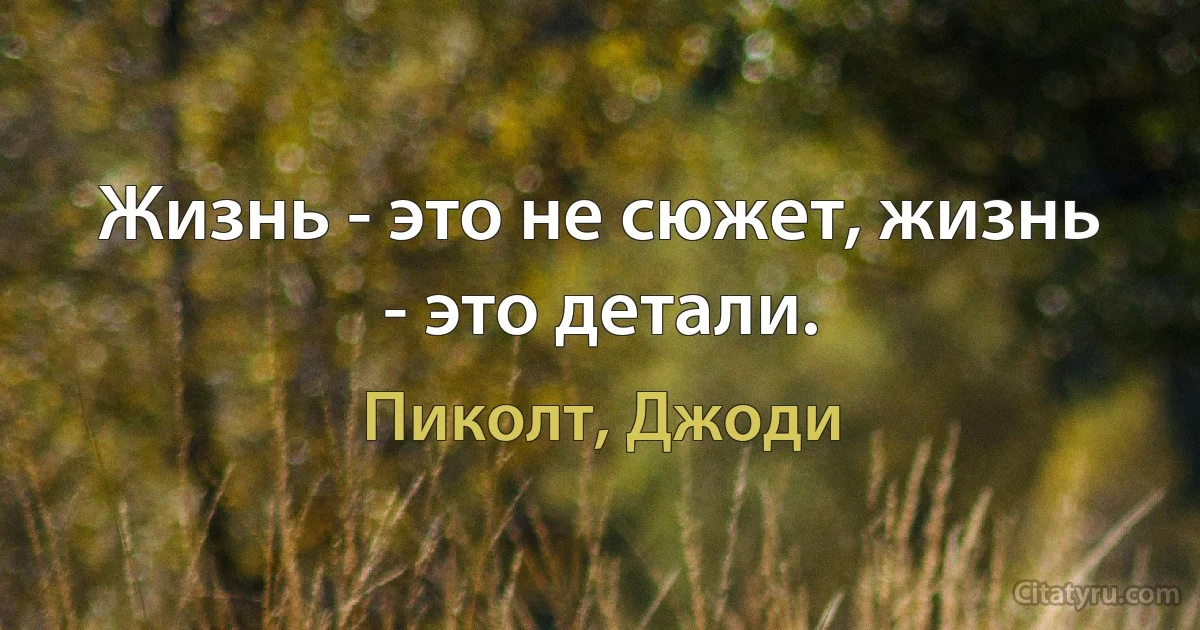 Жизнь - это не сюжет, жизнь - это детали. (Пиколт, Джоди)