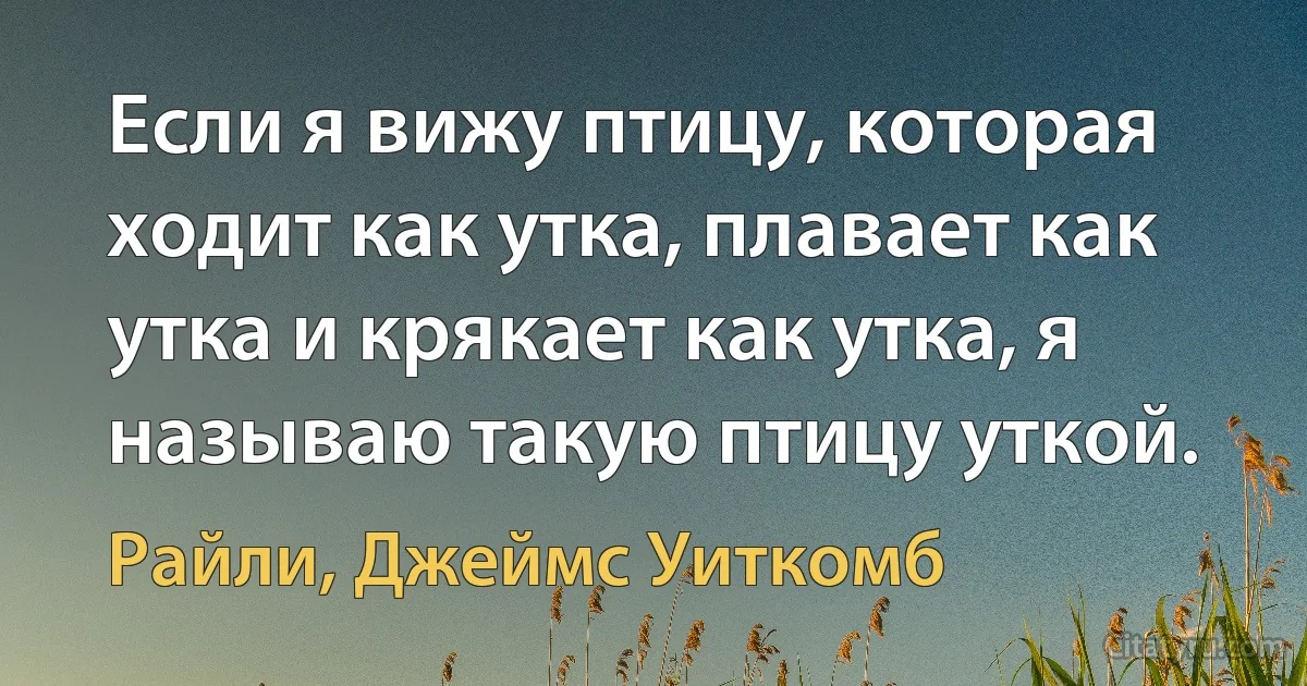 Если я вижу птицу, которая ходит как утка, плавает как утка и крякает как утка, я называю такую птицу уткой. (Райли, Джеймс Уиткомб)