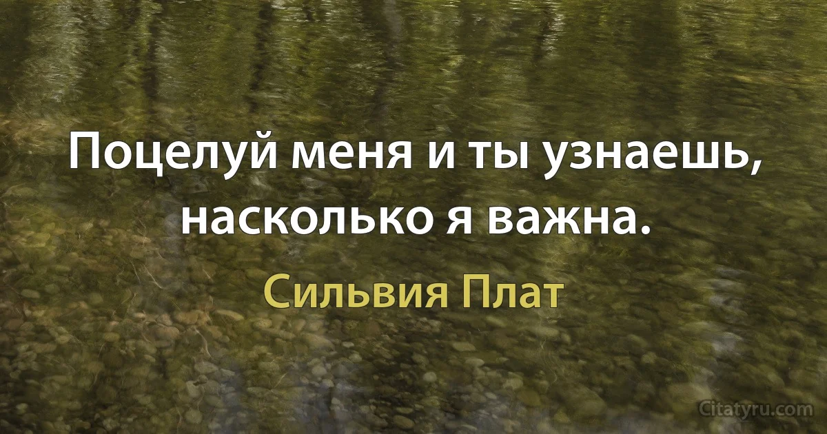 Поцелуй меня и ты узнаешь, насколько я важна. (Сильвия Плат)