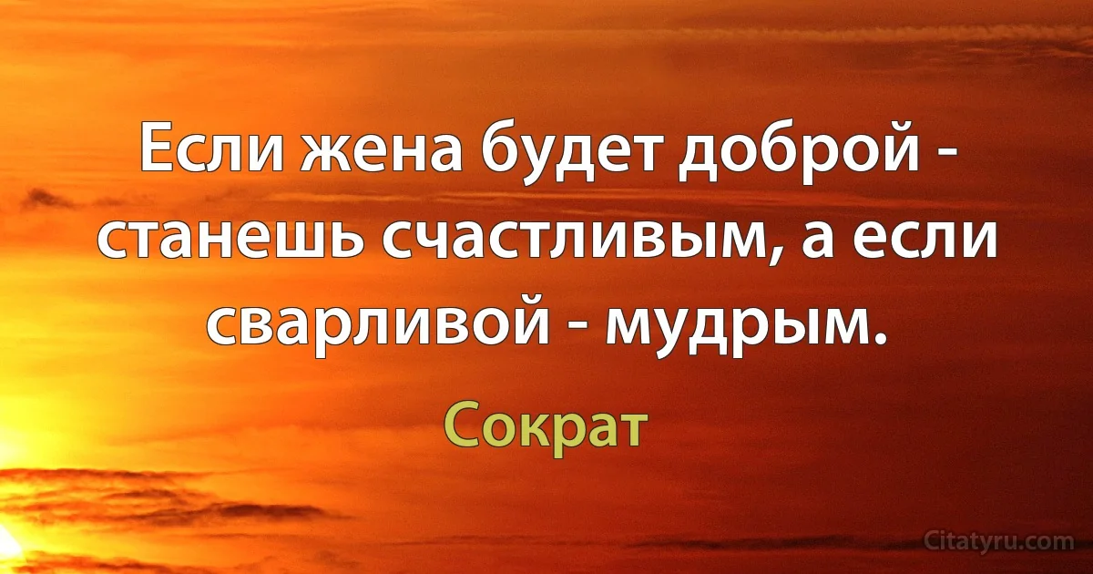 Если жена будет доброй - станешь счастливым, а если сварливой - мудрым. (Сократ)