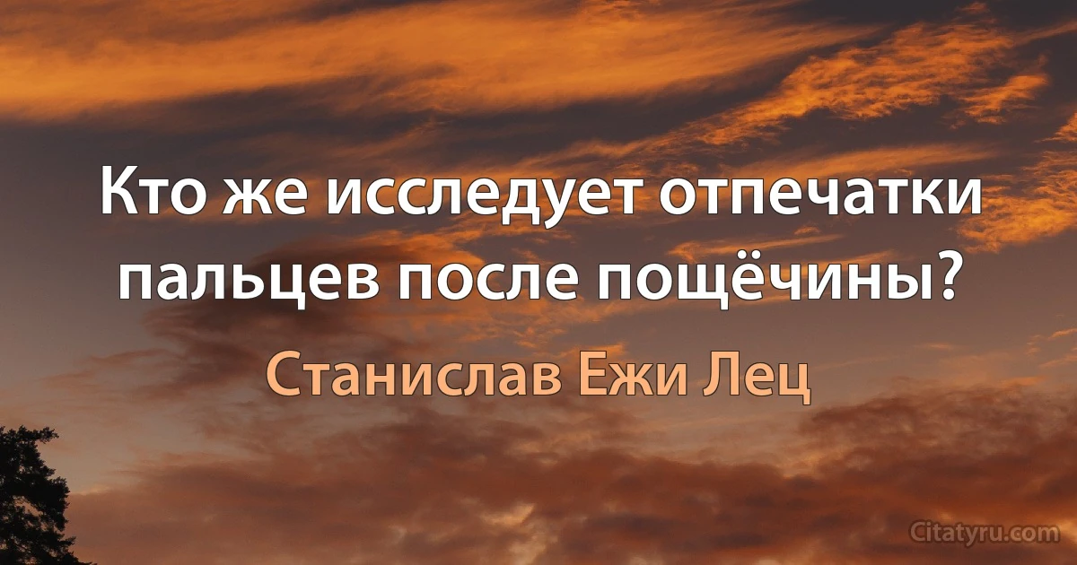 Кто же исследует отпечатки пальцев после пощёчины? (Станислав Ежи Лец)