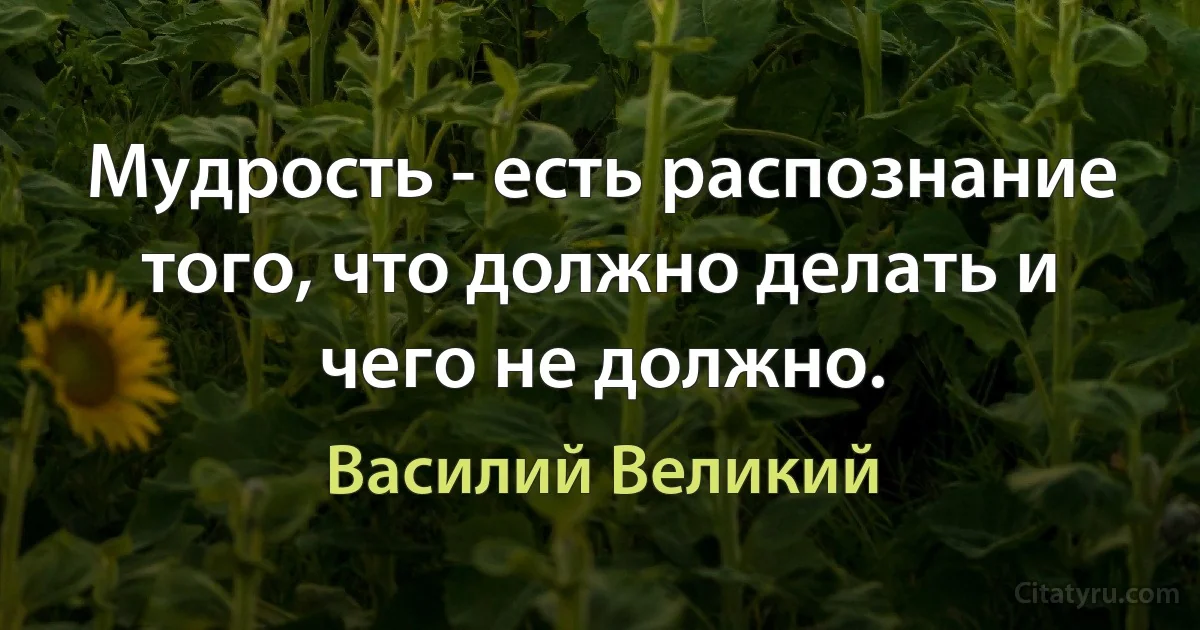 Мудрость - есть распознание того, что должно делать и чего не должно. (Василий Великий)