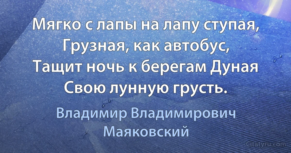 Мягко с лапы на лапу ступая,
Грузная, как автобус,
Тащит ночь к берегам Дуная
Свою лунную грусть. (Владимир Владимирович Маяковский)