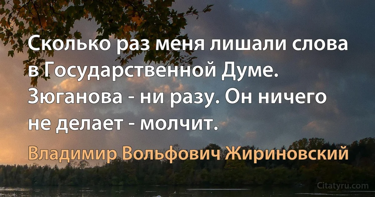 Сколько раз меня лишали слова в Государственной Думе. Зюганова - ни разу. Он ничего не делает - молчит. (Владимир Вольфович Жириновский)