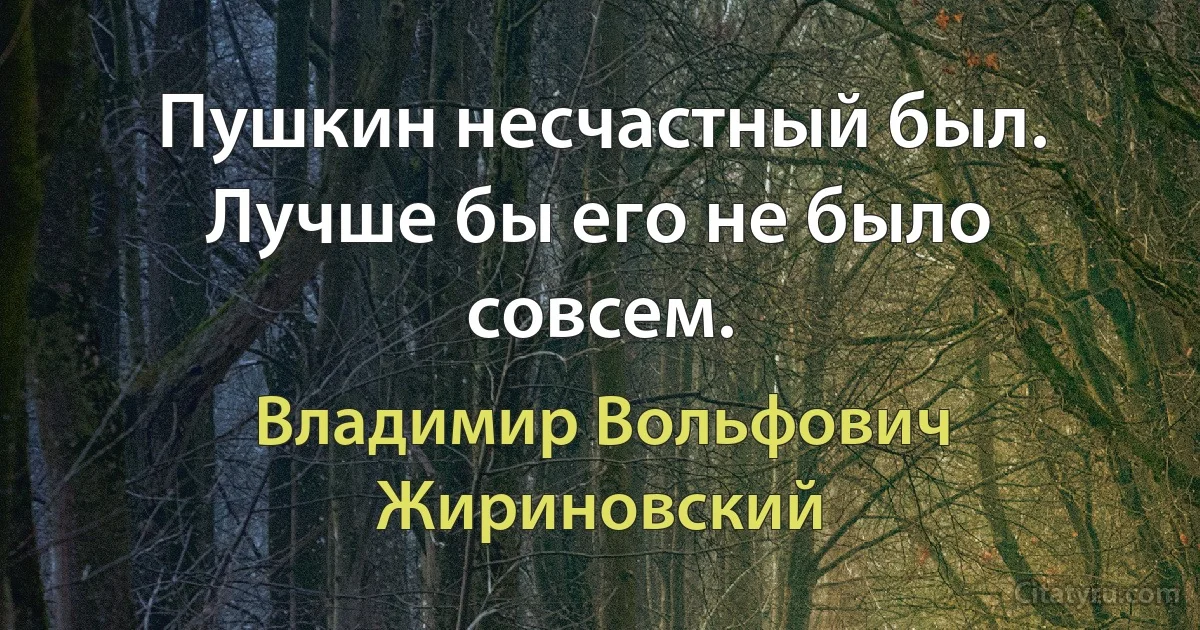 Пушкин несчастный был. Лучше бы его не было совсем. (Владимир Вольфович Жириновский)