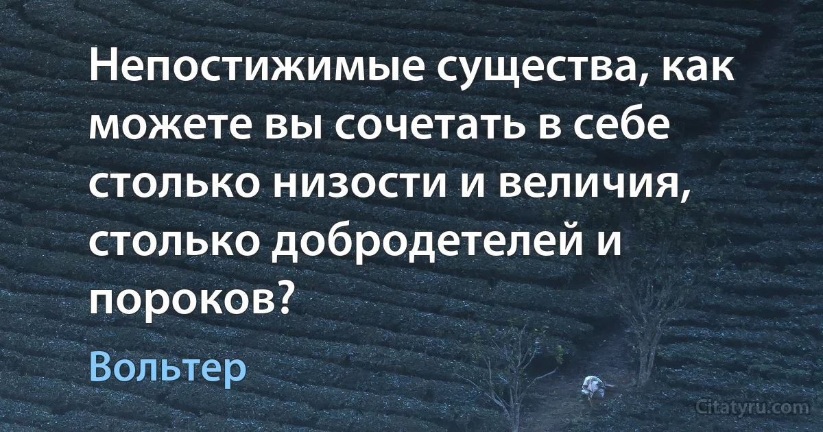 Непостижимые существа, как можете вы сочетать в себе столько низости и величия, столько добродетелей и пороков? (Вольтер)