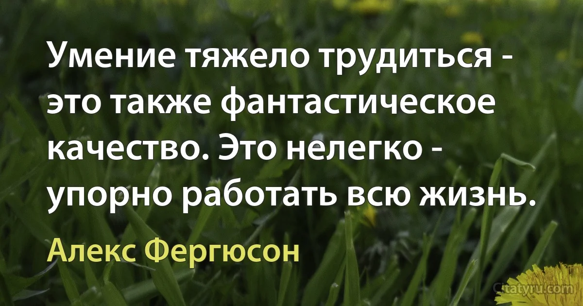 Умение тяжело трудиться - это также фантастическое качество. Это нелегко - упорно работать всю жизнь. (Алекс Фергюсон)