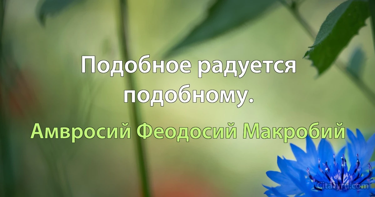 Подобное радуется подобному. (Амвросий Феодосий Макробий)