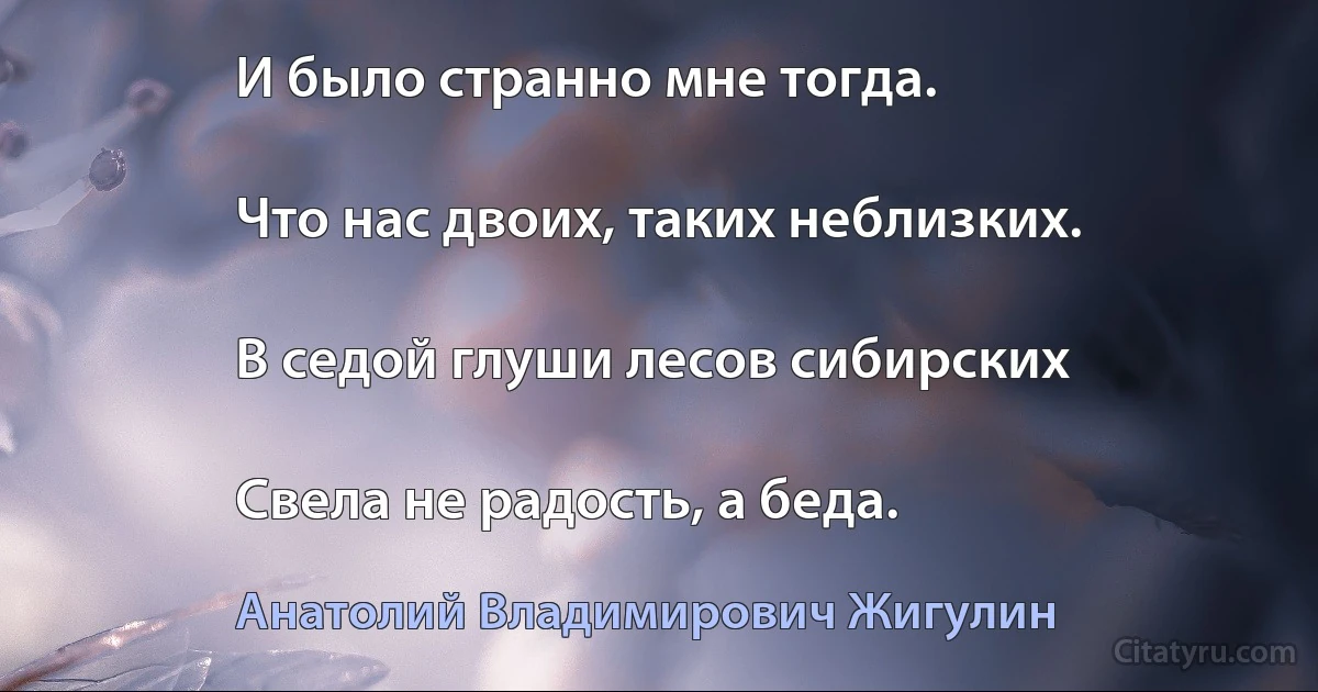 И было странно мне тогда.

Что нас двоих, таких неблизких.

В седой глуши лесов сибирских

Свела не радость, а беда. (Анатолий Владимирович Жигулин)