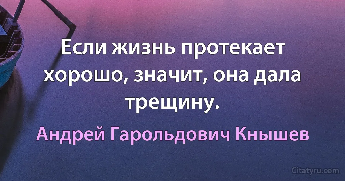 Если жизнь протекает хорошо, значит, она дала трещину. (Андрей Гарольдович Кнышев)