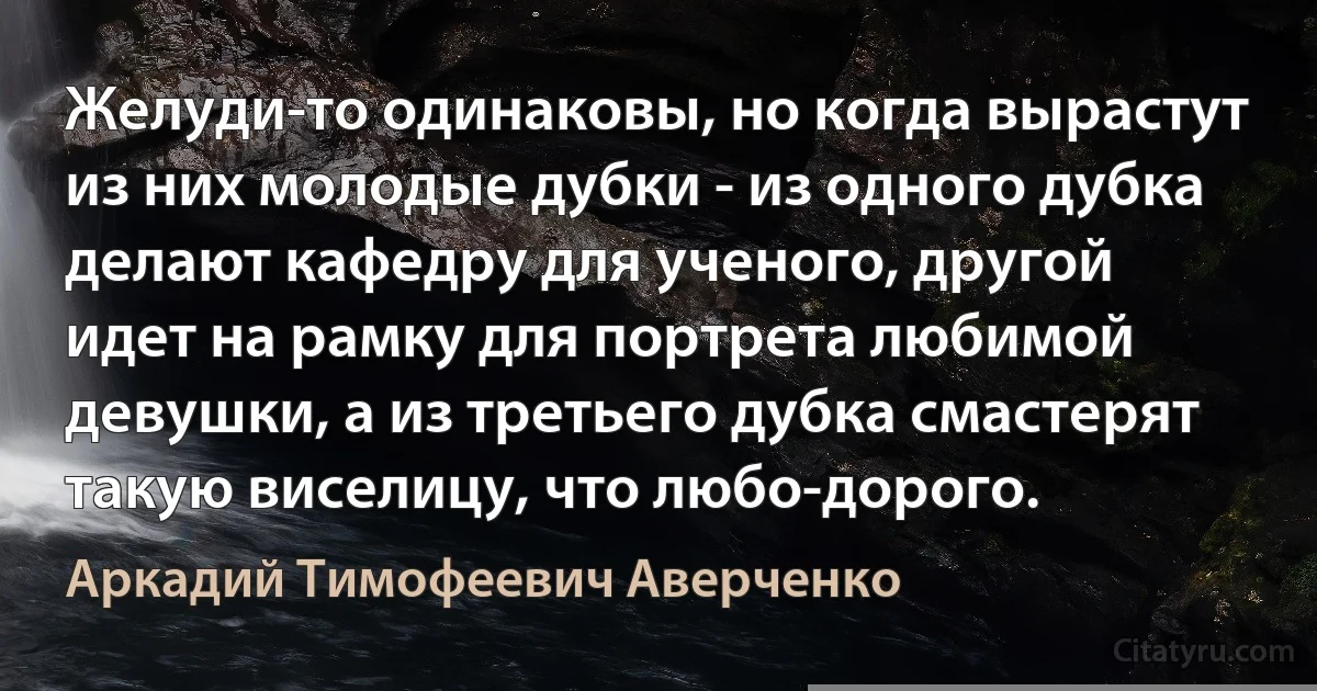 Желуди-то одинаковы, но когда вырастут из них молодые дубки - из одного дубка делают кафедру для ученого, другой идет на рамку для портрета любимой девушки, а из третьего дубка смастерят такую виселицу, что любо-дорого. (Аркадий Тимофеевич Аверченко)