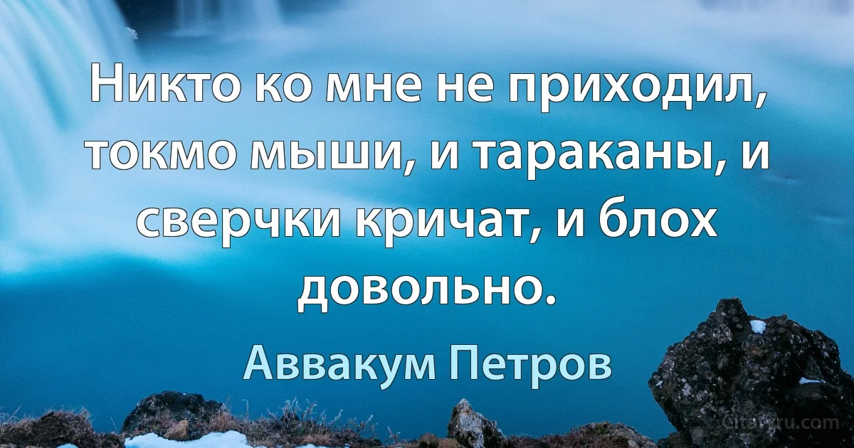 Никто ко мне не приходил, токмо мыши, и тараканы, и сверчки кричат, и блох довольно. (Аввакум Петров)