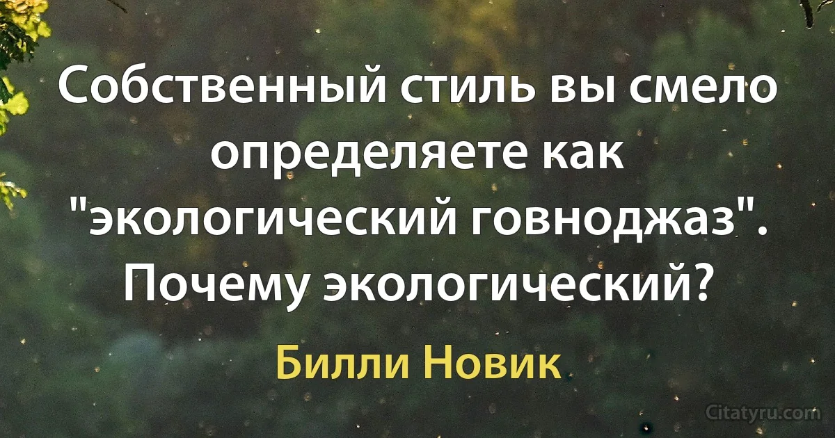 Cобственный стиль вы смело определяете как "экологический говноджаз". Почему экологический? (Билли Новик)