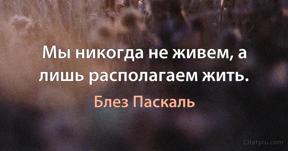 Мы никогда не живем, а лишь располагаем жить. (Блез Паскаль)