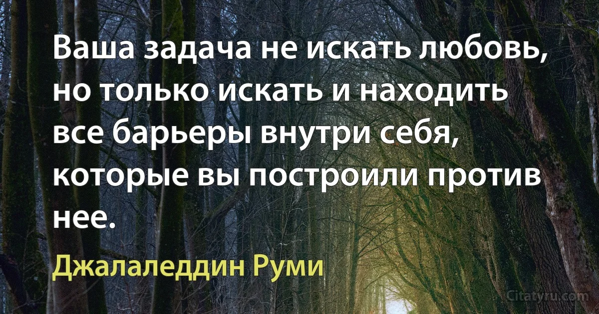 Ваша задача не искать любовь, но только искать и находить все барьеры внутри себя, которые вы построили против нее. (Джалаледдин Руми)