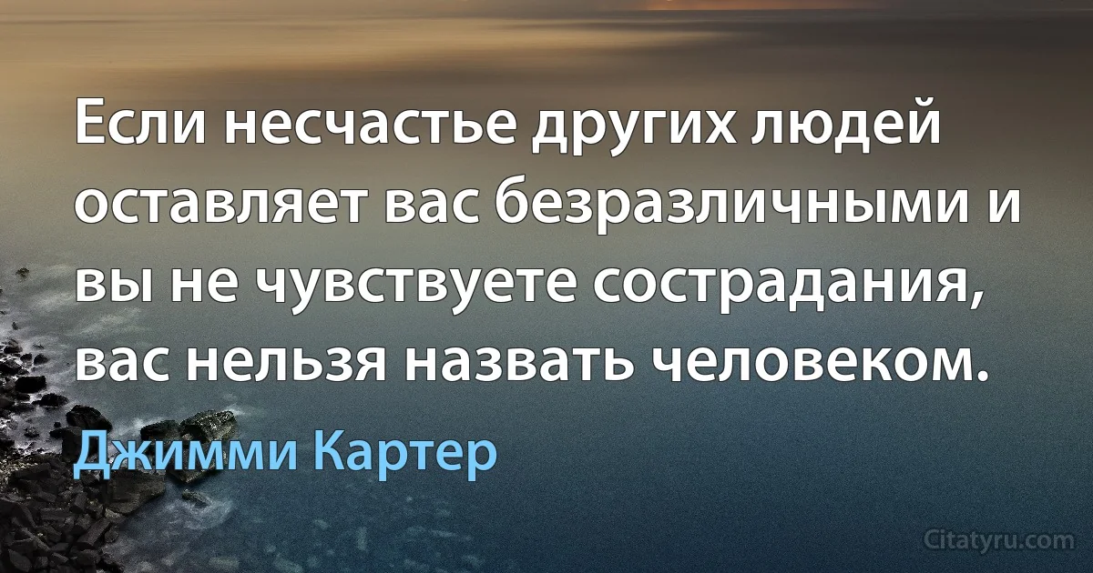 Если несчастье других людей оставляет вас безразличными и вы не чувствуете сострадания, вас нельзя назвать человеком. (Джимми Картер)