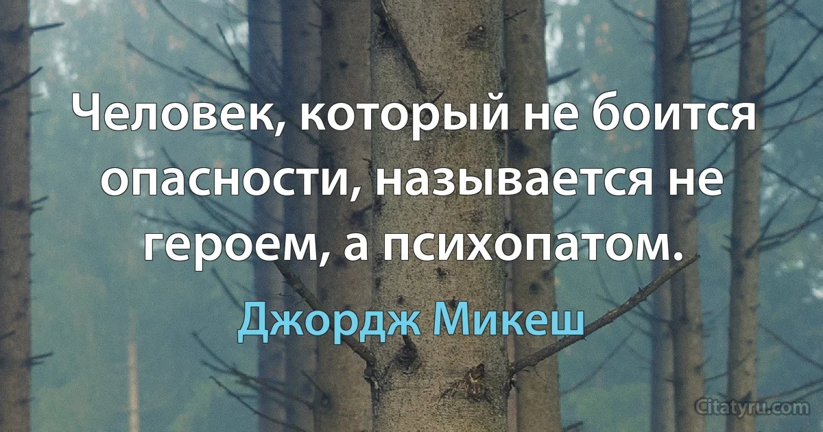 Человек, который не боится опасности, называется не героем, а психопатом. (Джордж Микеш)