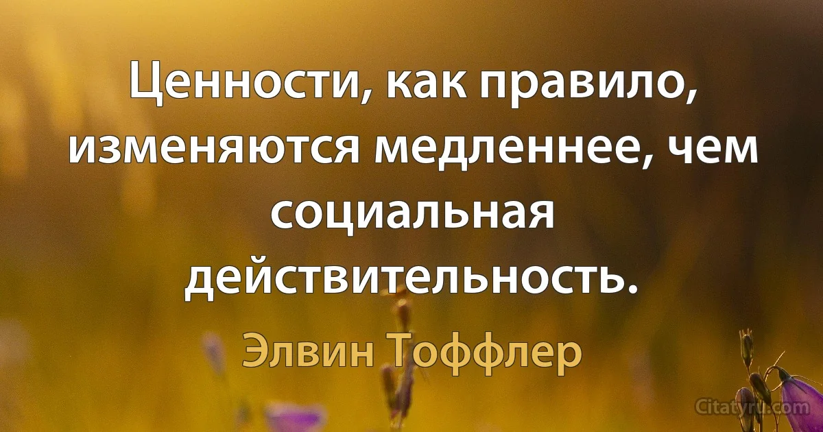 Ценности, как правило, изменяются медленнее, чем социальная действительность. (Элвин Тоффлер)