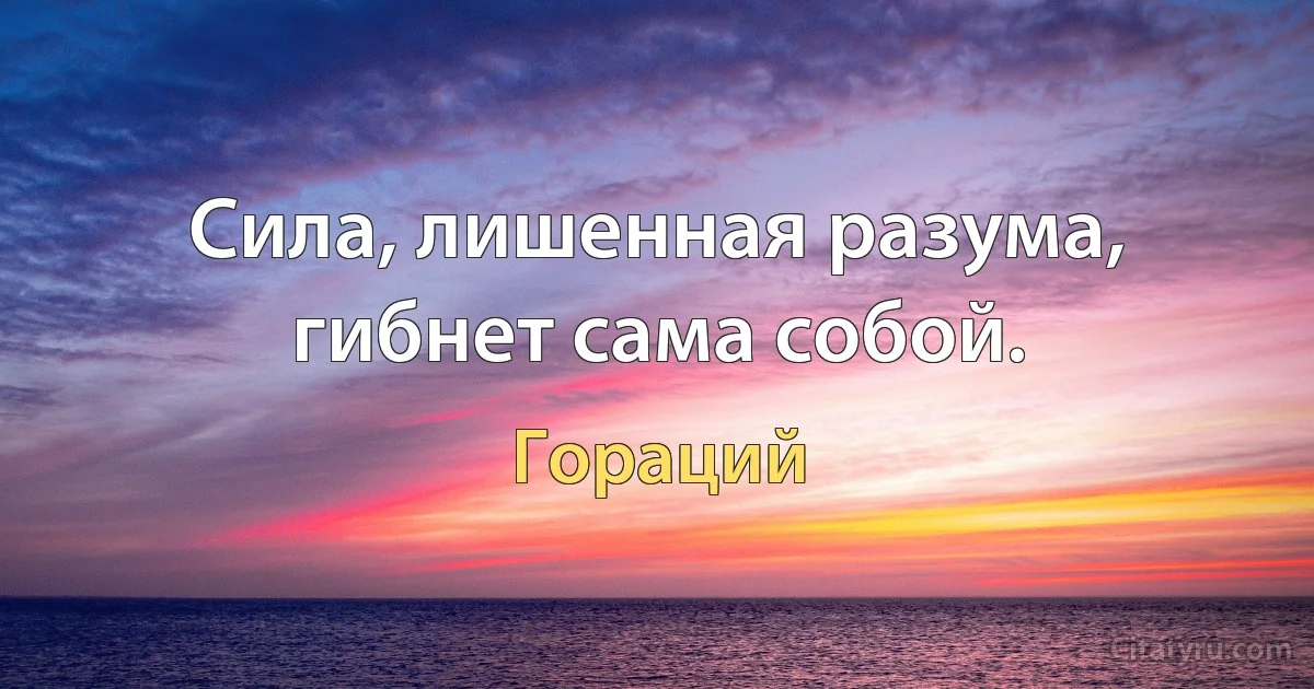 Сила, лишенная разума, гибнет сама собой. (Гораций)