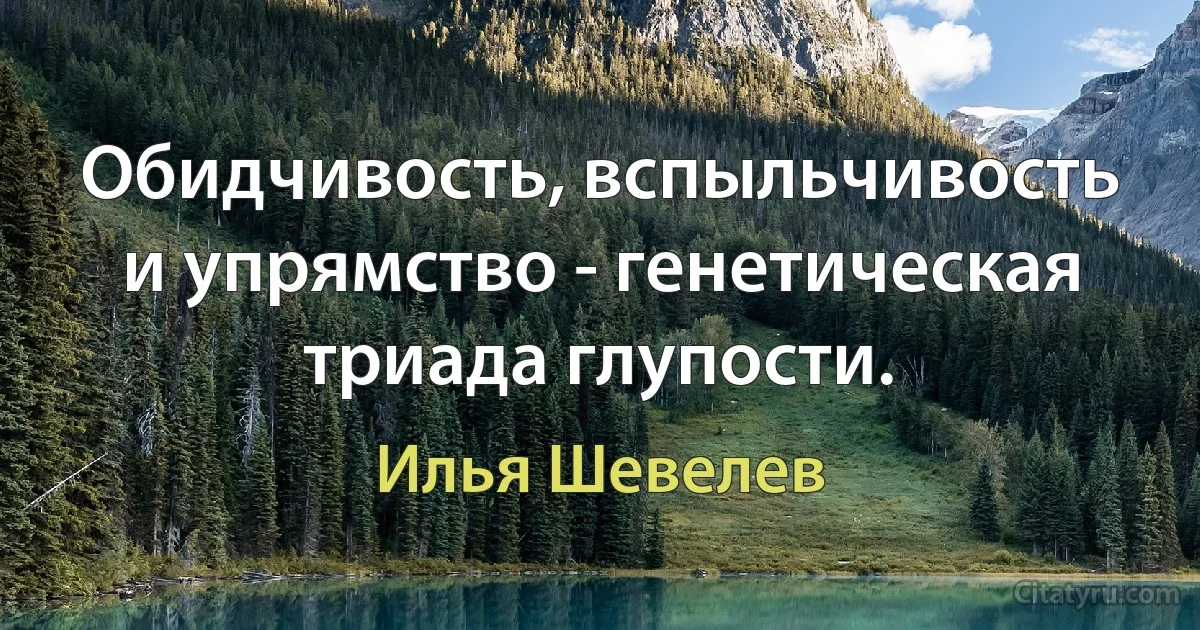 Обидчивость, вспыльчивость и упрямство - генетическая триада глупости. (Илья Шевелев)