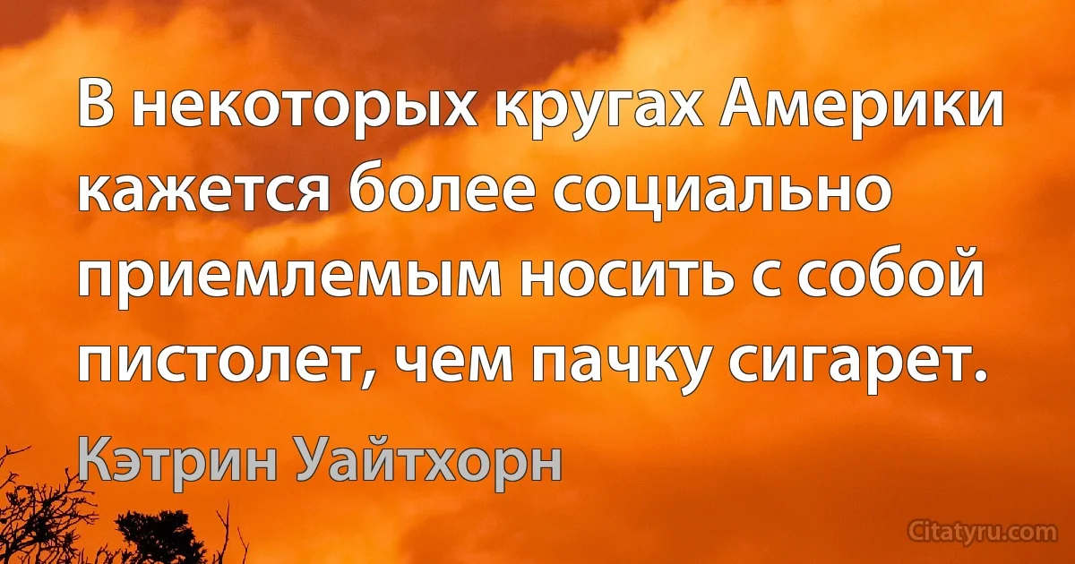 В некоторых кругах Америки кажется более социально приемлемым носить с собой пистолет, чем пачку сигарет. (Кэтрин Уайтхорн)