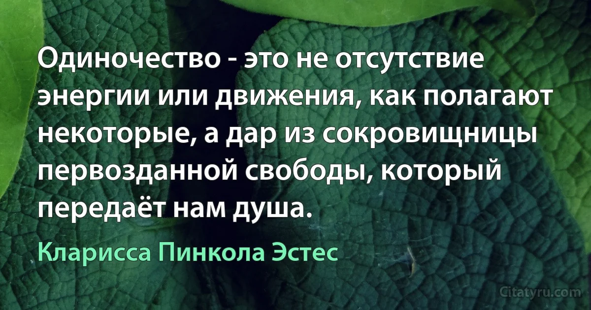 Одиночество - это не отсутствие энергии или движения, как полагают некоторые, а дар из сокровищницы первозданной свободы, который передаёт нам душа. (Кларисса Пинкола Эстес)