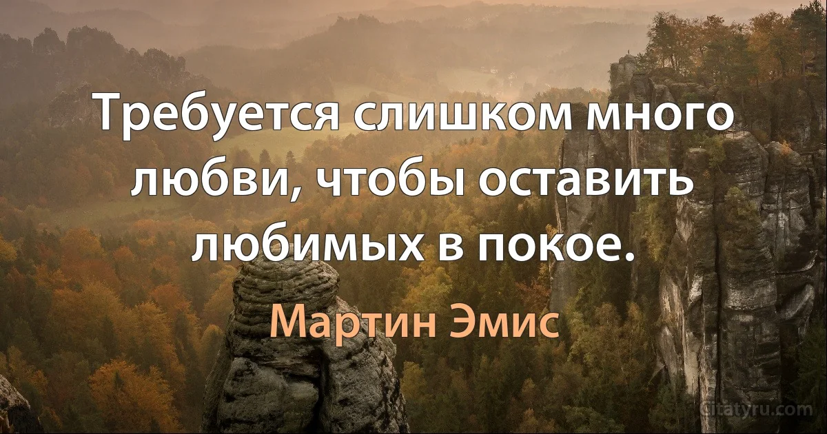 Требуется слишком много любви, чтобы оставить любимых в покое. (Мартин Эмис)