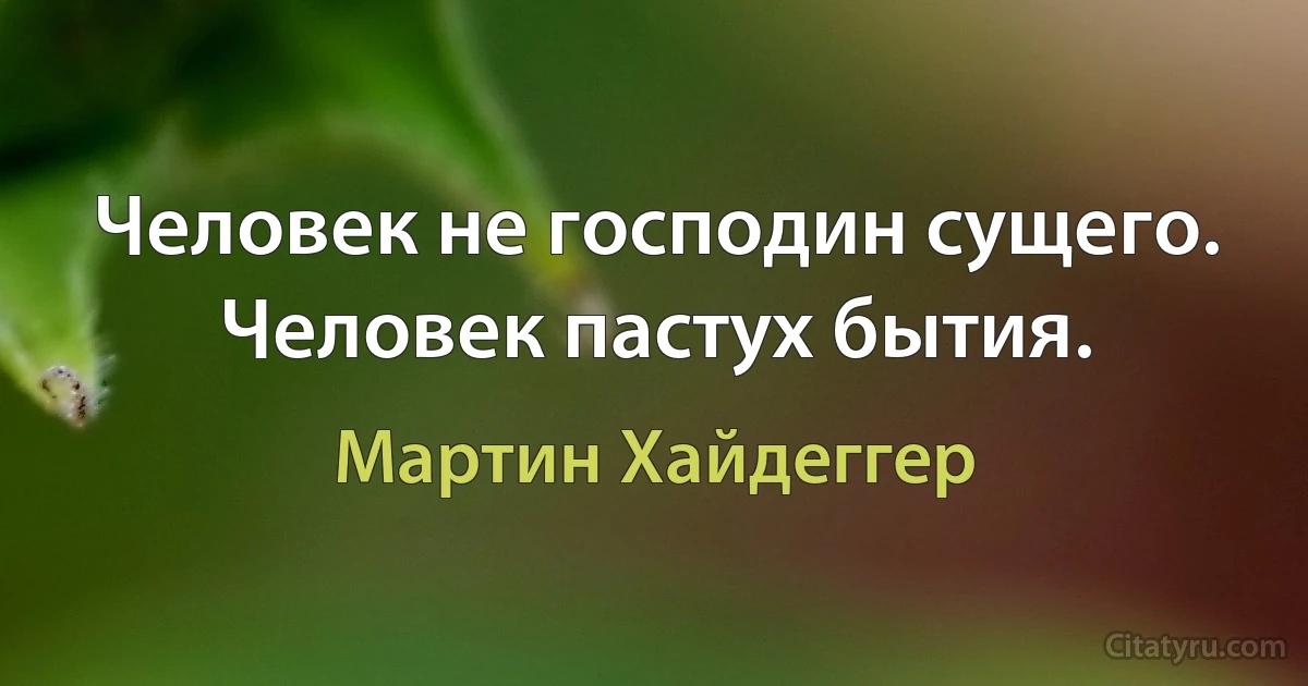 Человек не господин сущего. Человек пастух бытия. (Мартин Хайдеггер)