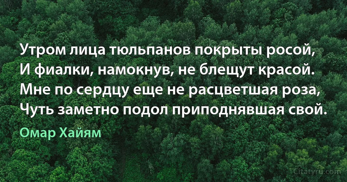 Утром лица тюльпанов покрыты росой,
И фиалки, намокнув, не блещут красой.
Мне по сердцу еще не расцветшая роза,
Чуть заметно подол приподнявшая свой. (Омар Хайям)