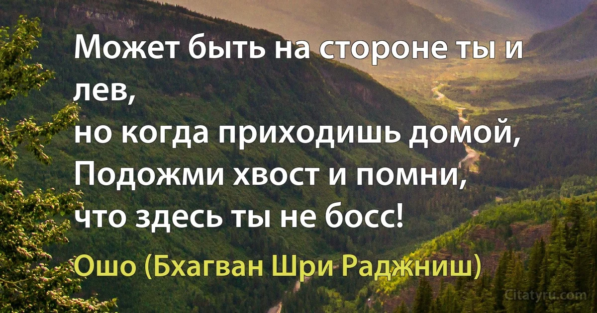 Может быть на стороне ты и лев,
но когда приходишь домой,
Подожми хвост и помни,
что здесь ты не босс! (Ошо (Бхагван Шри Раджниш))