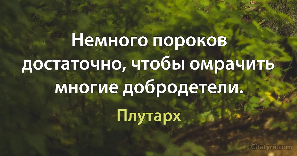 Немного пороков достаточно, чтобы омрачить многие добродетели. (Плутарх)