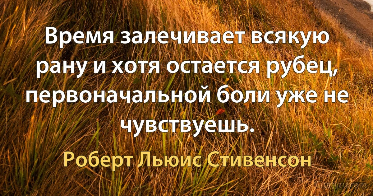 Время залечивает всякую рану и хотя остается рубец, первоначальной боли уже не чувствуешь. (Роберт Льюис Стивенсон)