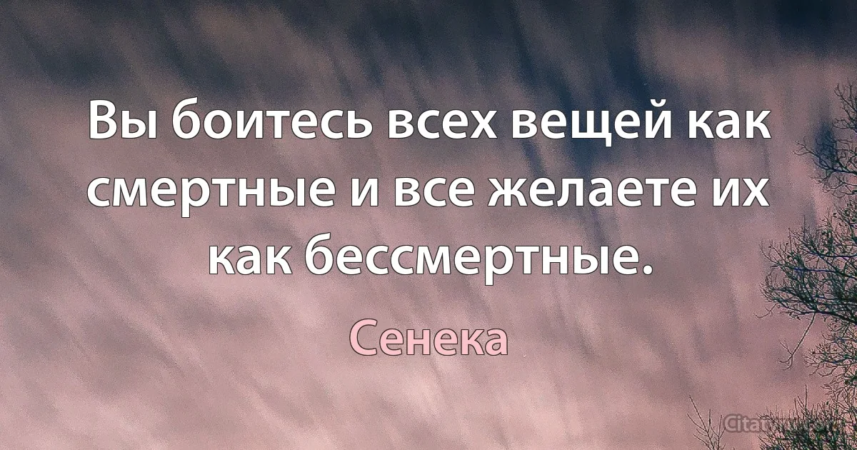 Вы боитесь всех вещей как смертные и все желаете их как бессмертные. (Сенека)