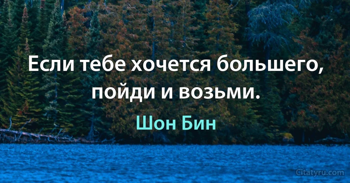 Если тебе хочется большего, пойди и возьми. (Шон Бин)