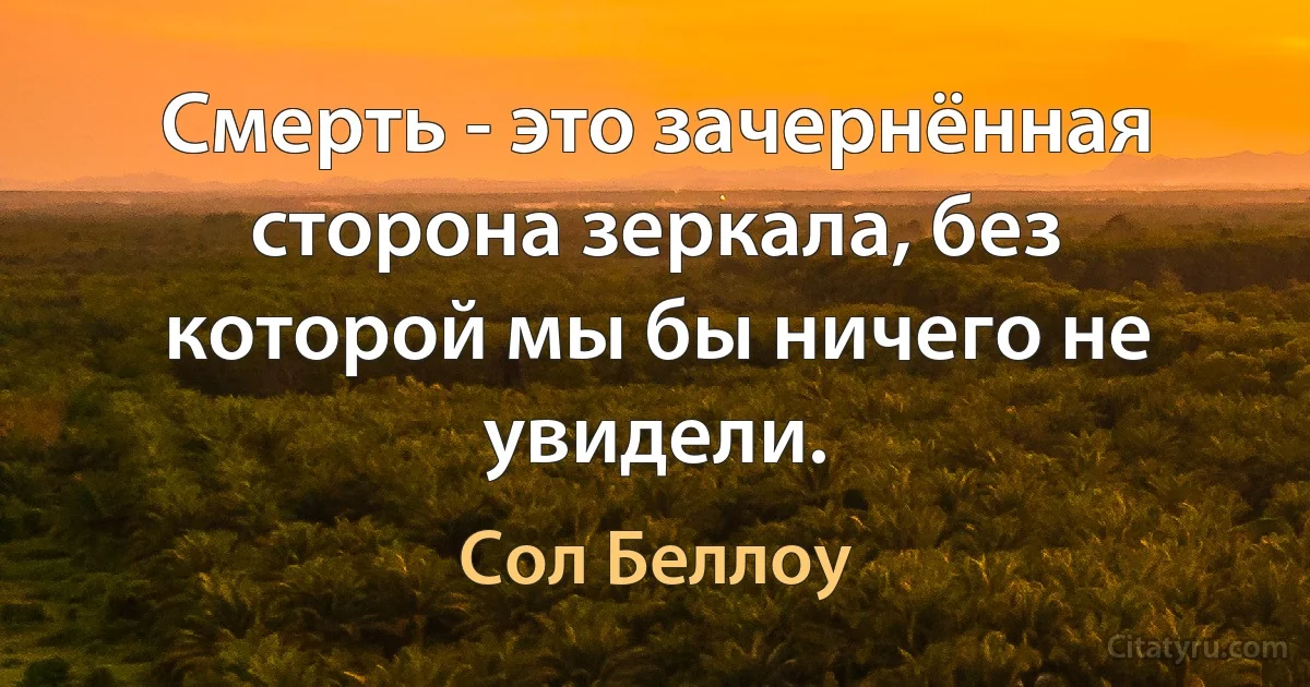 Смерть - это зачернённая сторона зеркала, без которой мы бы ничего не увидели. (Сол Беллоу)