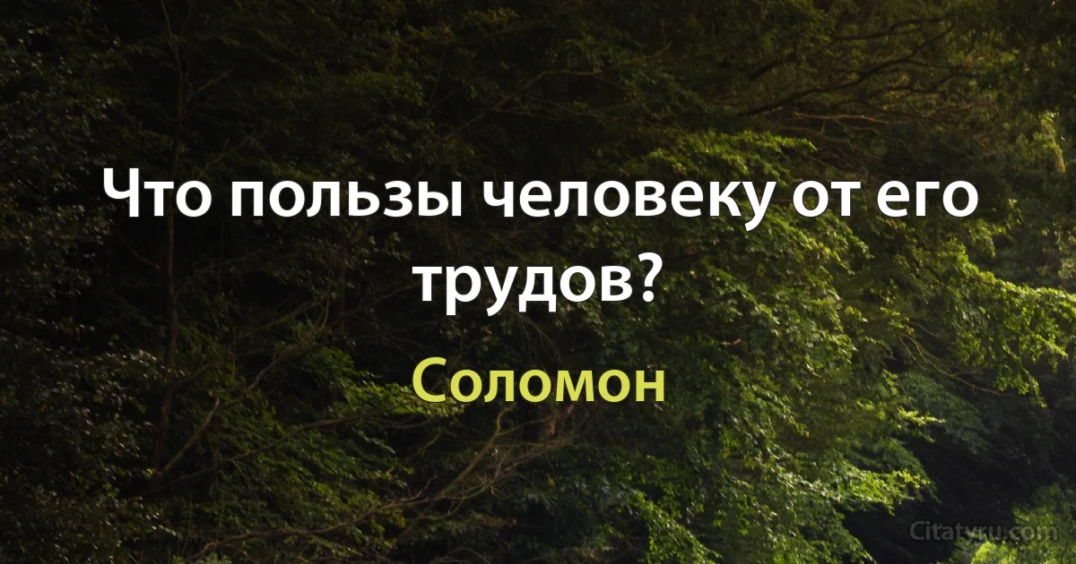 Что пользы человеку от его трудов? (Соломон)