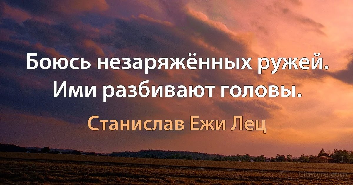 Боюсь незаряжённых ружей. Ими разбивают головы. (Станислав Ежи Лец)