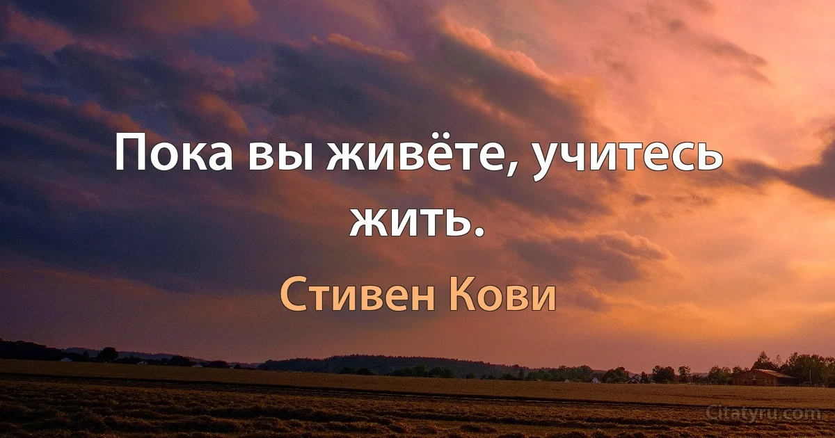 Пока вы живёте, учитесь жить. (Стивен Кови)