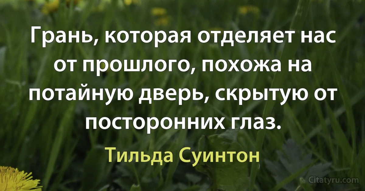 Грань, которая отделяет нас от прошлого, похожа на потайную дверь, скрытую от посторонних глаз. (Тильда Суинтон)