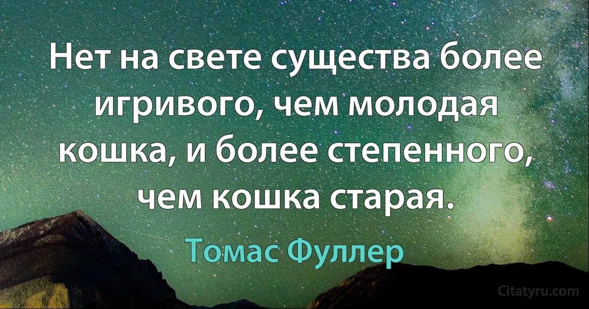 Нет на свете существа более игривого, чем молодая кошка, и более степенного, чем кошка старая. (Томас Фуллер)