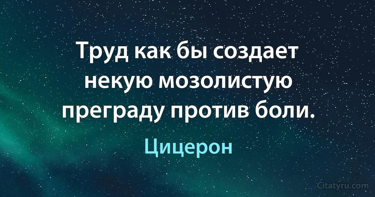 Труд как бы создает некую мозолистую преграду против боли. (Цицерон)