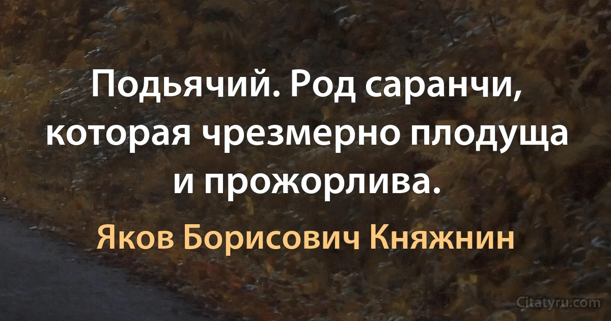 Подьячий. Род саранчи, которая чрезмерно плодуща и прожорлива. (Яков Борисович Княжнин)