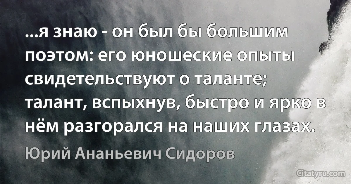 ...я знаю - он был бы большим поэтом: его юношеские опыты свидетельствуют о таланте; талант, вспыхнув, быстро и ярко в нём разгорался на наших глазах. (Юрий Ананьевич Сидоров)