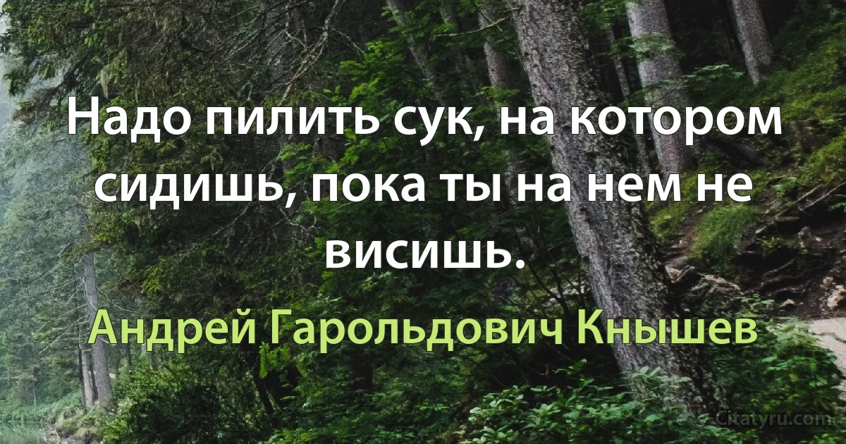 Надо пилить сук, на котором сидишь, пока ты на нем не висишь. (Андрей Гарольдович Кнышев)