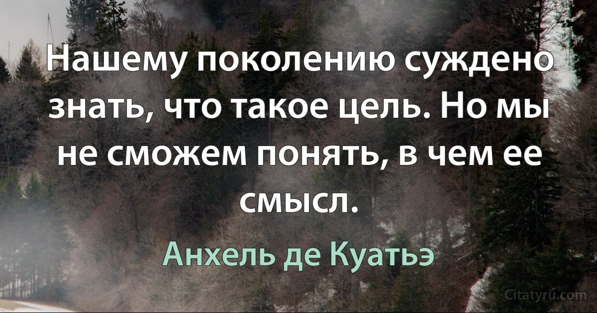 Нашему поколению суждено знать, что такое цель. Но мы не сможем понять, в чем ее смысл. (Анхель де Куатьэ)