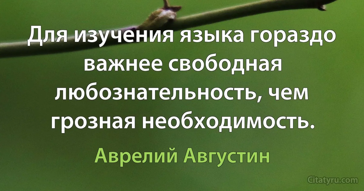 Для изучения языка гораздо важнее свободная любознательность, чем грозная необходимость. (Аврелий Августин)