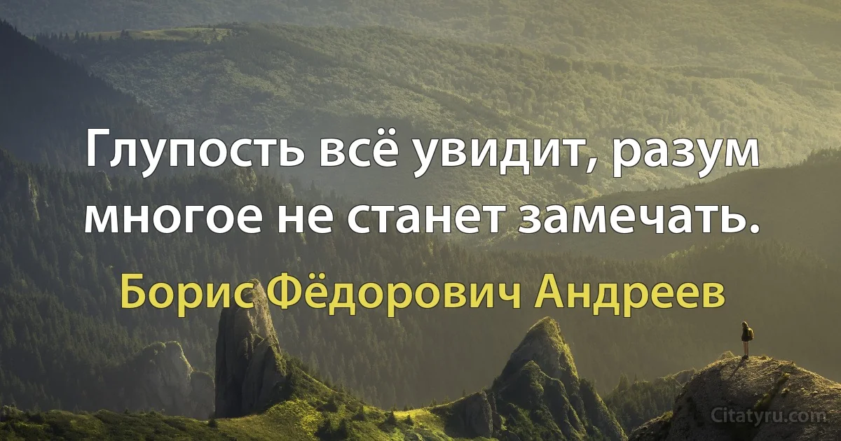 Глупость всё увидит, разум многое не станет замечать. (Борис Фёдорович Андреев)